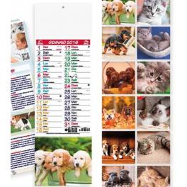 *Calendario Cani e Gatti